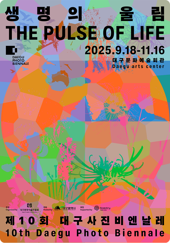 Daegu Photo Biennale poster